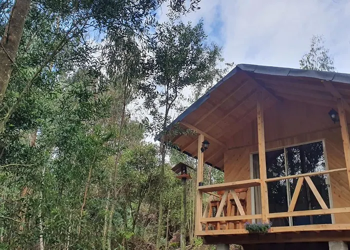 Cabanas Piedemonte