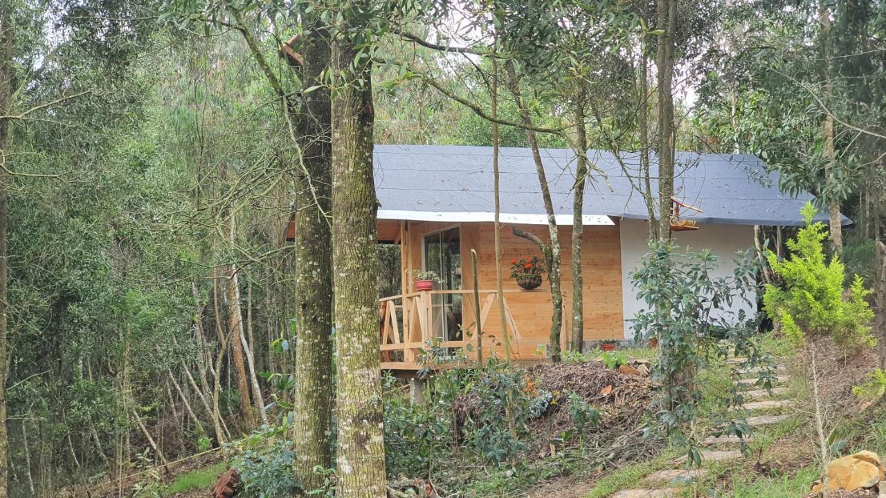 Piedemonte * Santa Elena (Antioquia)