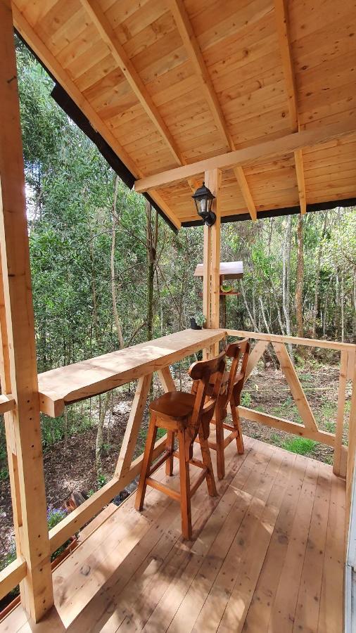 Piedemonte Apartment Santa Elena (Antioquia)